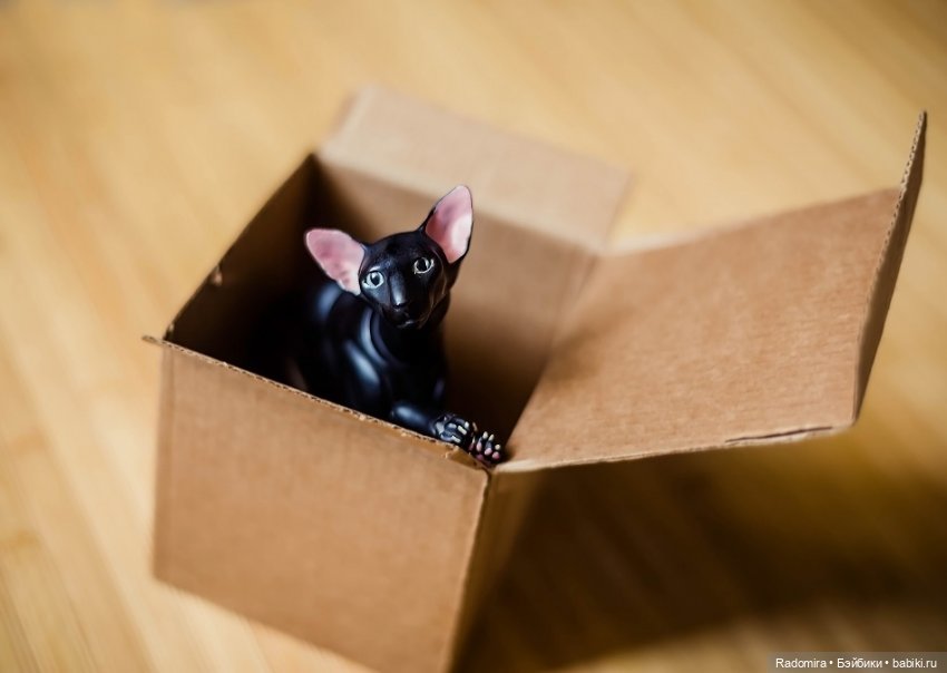 Тьмяу | Бэйбики Тьмяу — Авторские куклы BJD (БЖД) у нас дома: фото (фото 2)