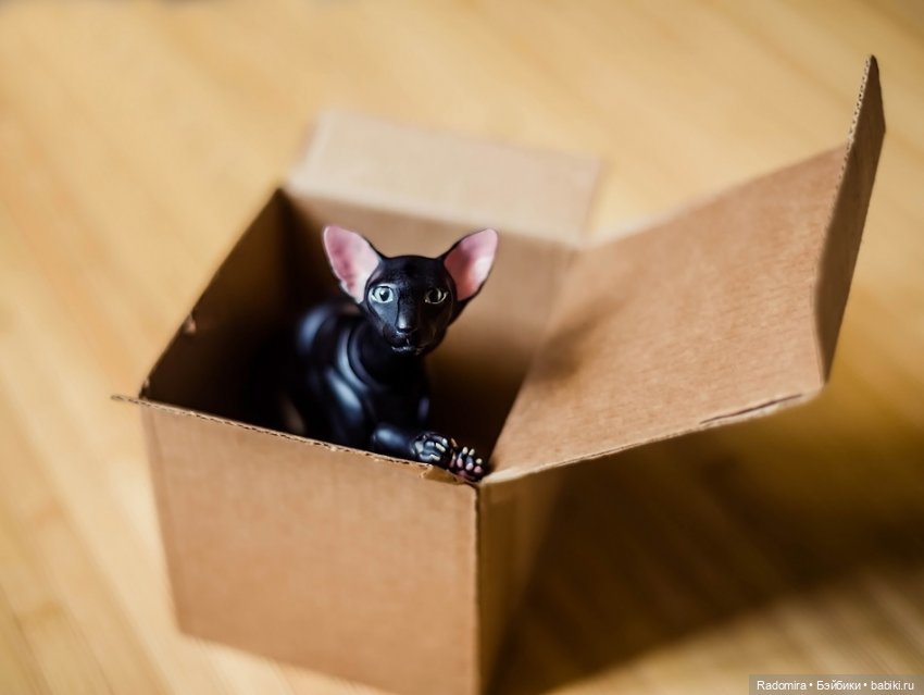 Тьмяу | Бэйбики Тьмяу — Авторские куклы BJD (БЖД) у нас дома: фото