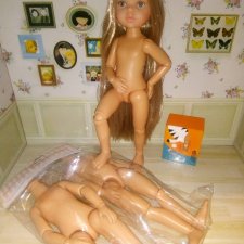 шарнирное тело для кукол паола рейна