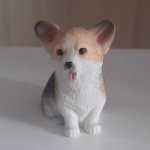 Вельш-корги #6