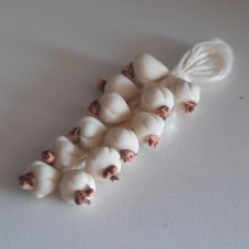 Связка чеснока