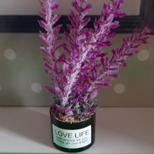 Цветок в горшочке