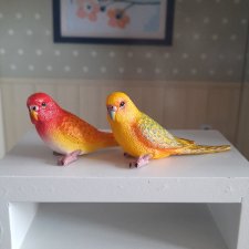 Попугайчики