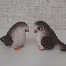 Птички лотом #1