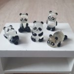 Пандочки лотом светятся .