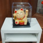 Котик,машет лапкой