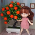 Мандариновое дерево