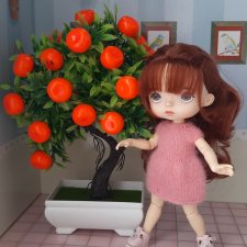 Мандариновое дерево