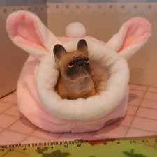 Домик для питомцев.