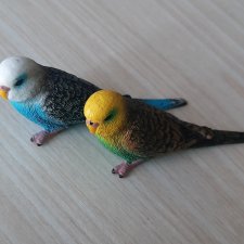 Попугайчики