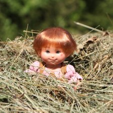 Прогулка Эльфика