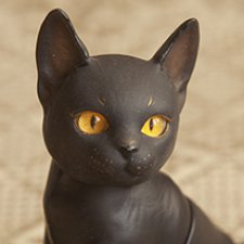 Хулиганистая кошка