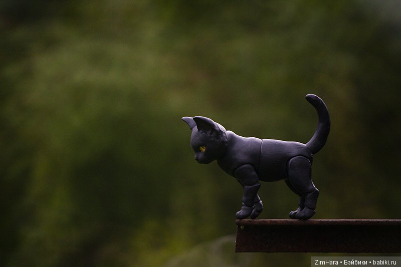 Фотосессия Ночки | Бэйбики Фотосессия Ночки — Куклы Iplehouse (Иплхаус): BJD (БЖД) (фото 4)