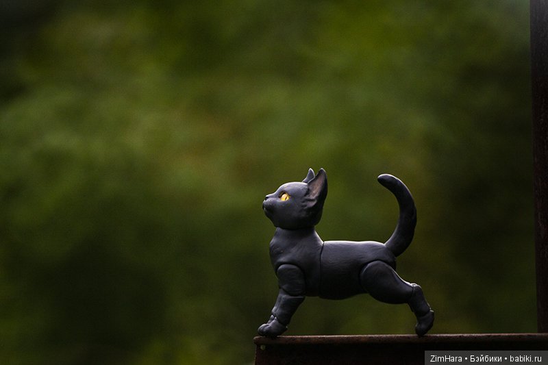 Фотосессия Ночки | Бэйбики Фотосессия Ночки — Куклы Iplehouse (Иплхаус): BJD (БЖД) (фото 5)