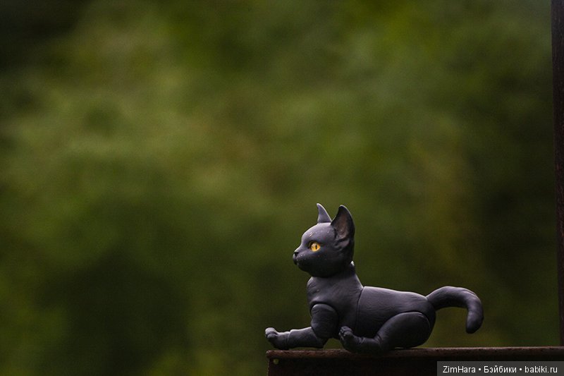 Фотосессия Ночки | Бэйбики Фотосессия Ночки — Куклы Iplehouse (Иплхаус): BJD (БЖД) (фото 2)