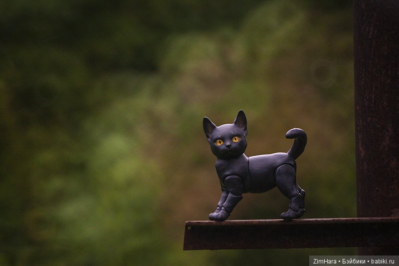 Фотосессия Ночки | Бэйбики Фотосессия Ночки — Куклы Iplehouse (Иплхаус): BJD (БЖД)