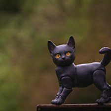 Фотосессия Ночки