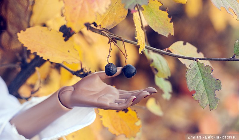 Охотница осени — Куклы Iplehouse (Иплхаус): BJD (БЖД) (фото 10)