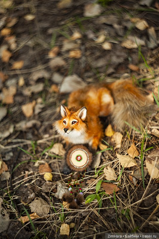 Последний теплый день сентября | Бэйбики Последний теплый день сентября (фото 4)