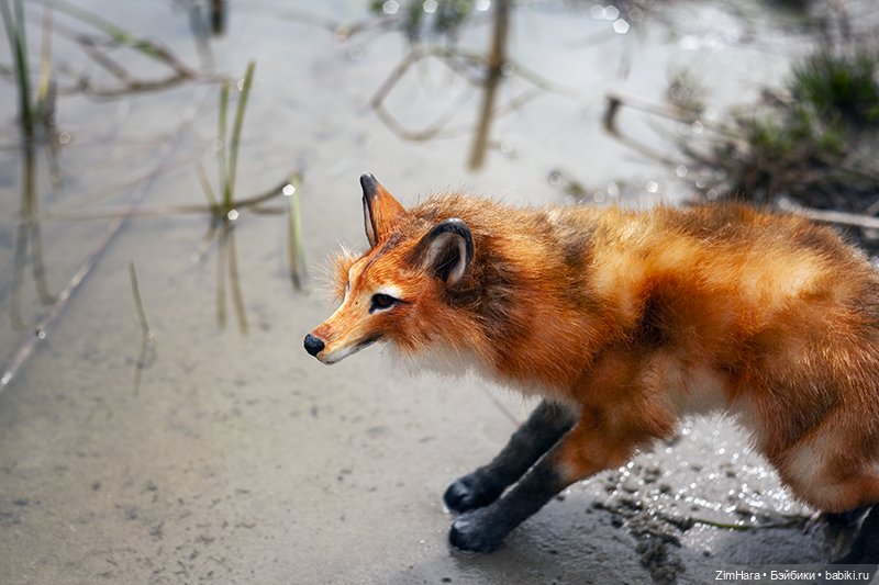 Лисица в песках — Домашние фото авторских игрушек: Тедди (фото 9)