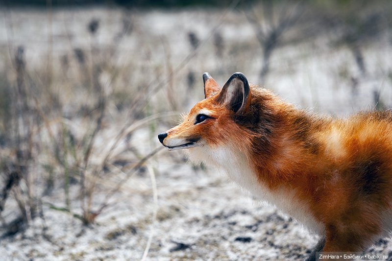 Лисица в песках — Домашние фото авторских игрушек: Тедди (фото 2)