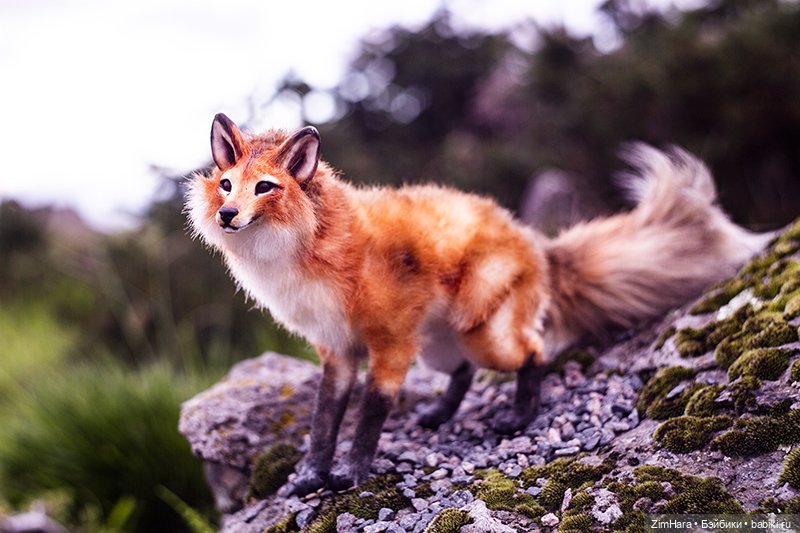 Осенние приключения Акрии (фото 2)