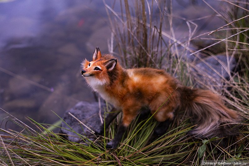 Осенние приключения Акрии (фото 7)