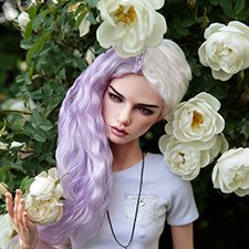 Белый шиповник