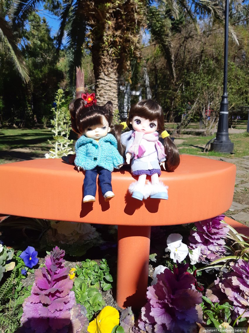 Путешествие Xiaomi Monst и Ко. Маршрут Красная поляна - Сочи (фото 6)