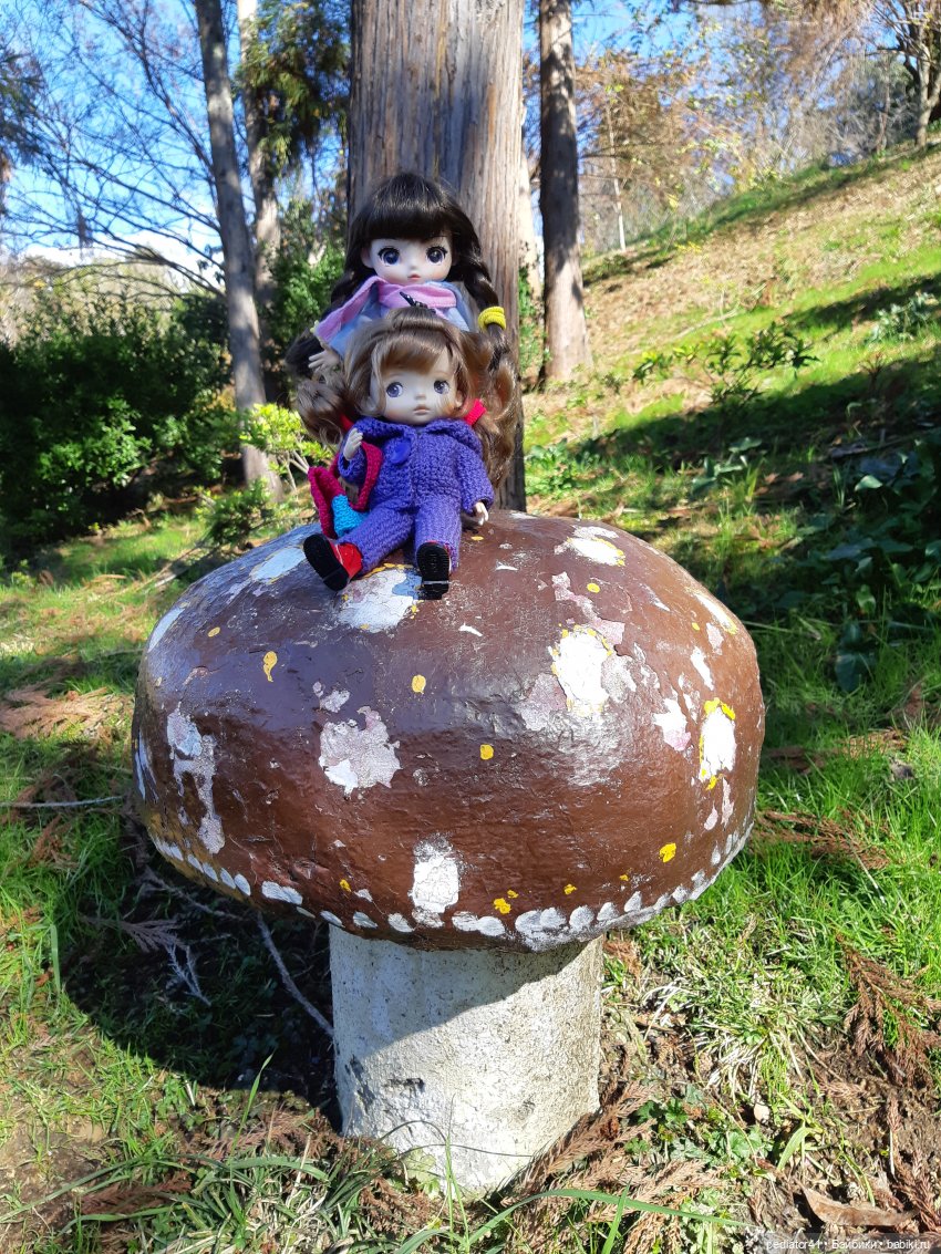 Путешествие Xiaomi Monst и Ко. Маршрут Красная поляна - Сочи (фото 10)