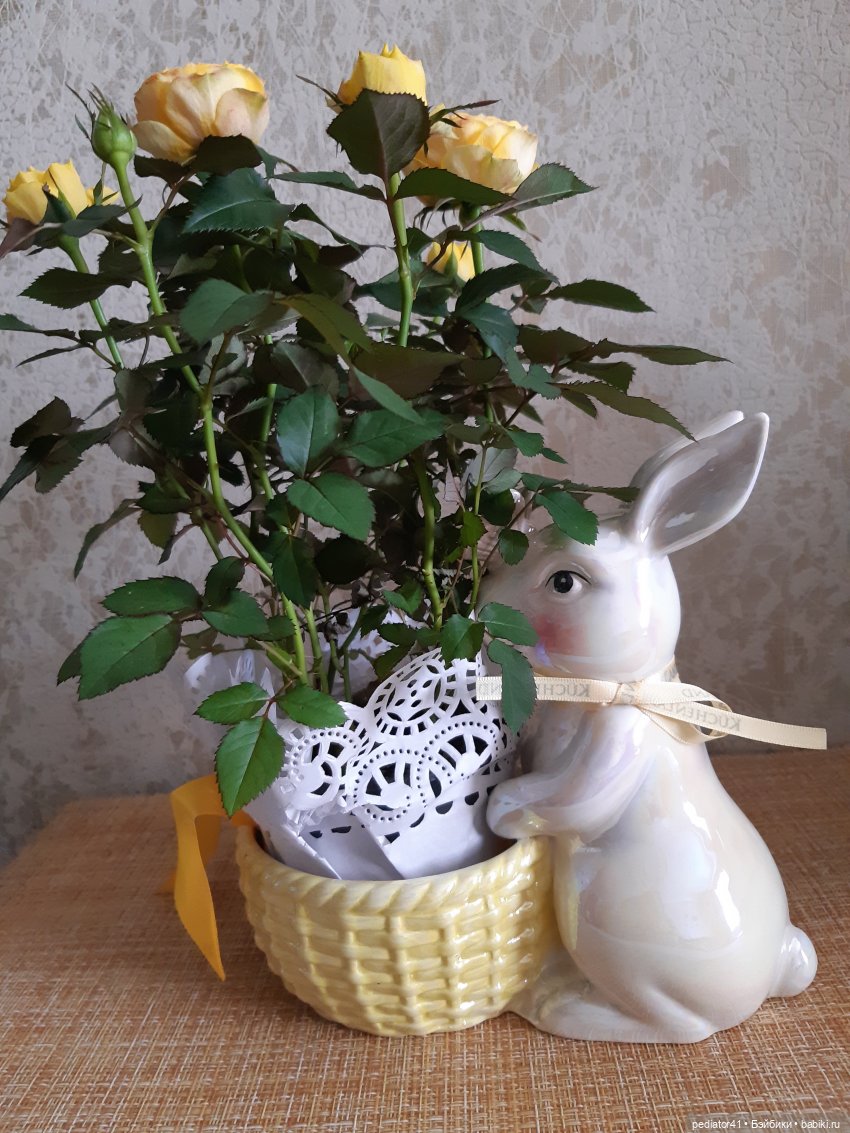 Девочки и роза — Куклы Xiaomi Monst (Сяоми) и Pipitom: шарнирные