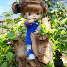 Один день из жизни дачниц