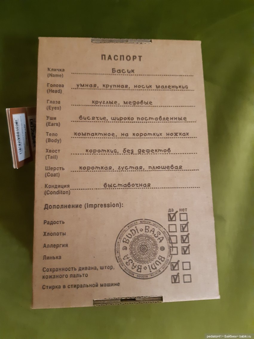 Джентльмен Басик — Кот Басик (фото 3)