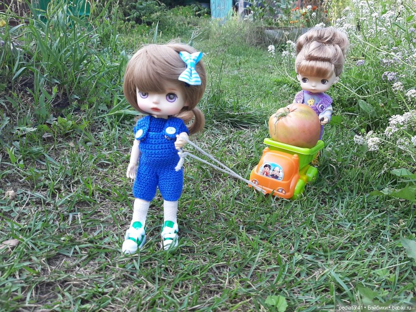 Во саду ли, в огороде — Куклы Xiaomi Monst (Сяоми) и Pipitom: шарнирные (фото 4)