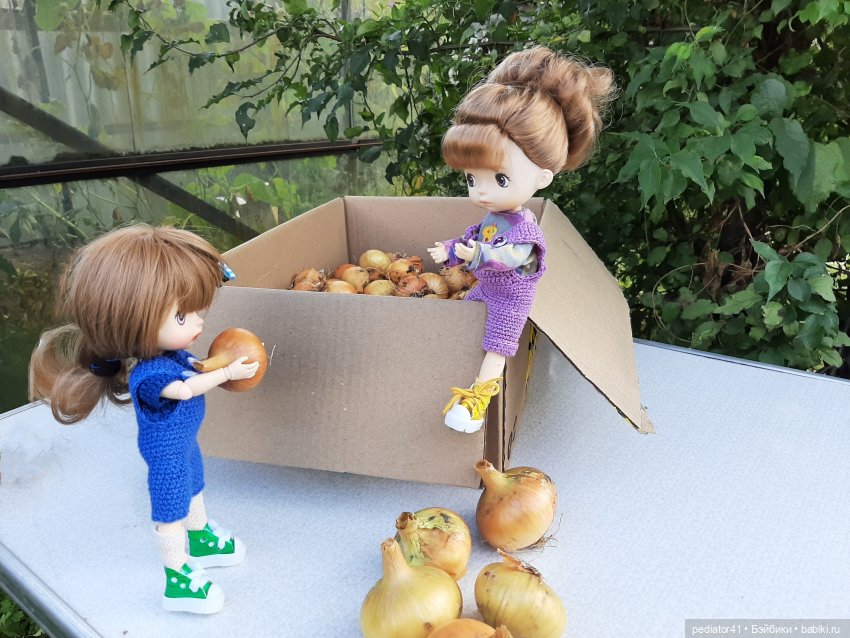 Во саду ли, в огороде — Куклы Xiaomi Monst (Сяоми) и Pipitom: шарнирные (фото 6)