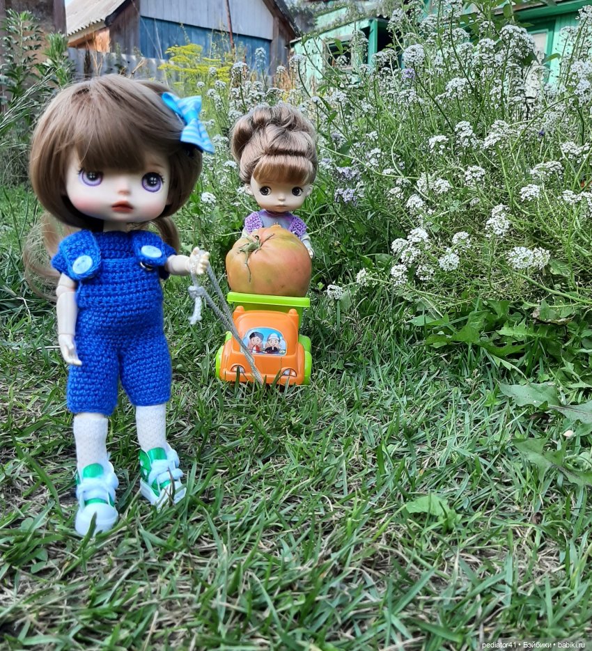 Во саду ли, в огороде — Куклы Xiaomi Monst (Сяоми) и Pipitom: шарнирные (фото 3)