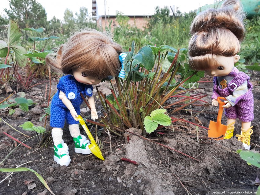 Во саду ли, в огороде — Куклы Xiaomi Monst (Сяоми) и Pipitom: шарнирные (фото 5)
