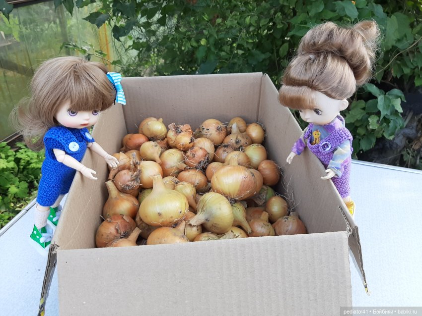 Во саду ли, в огороде — Куклы Xiaomi Monst (Сяоми) и Pipitom: шарнирные (фото 7)