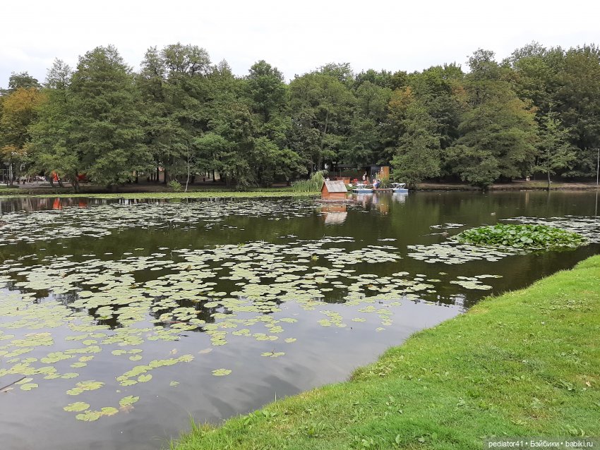 Большое Балтийское путешествие ксиомок. Часть 1 - Зеленоградск (Кранц) (фото 10)