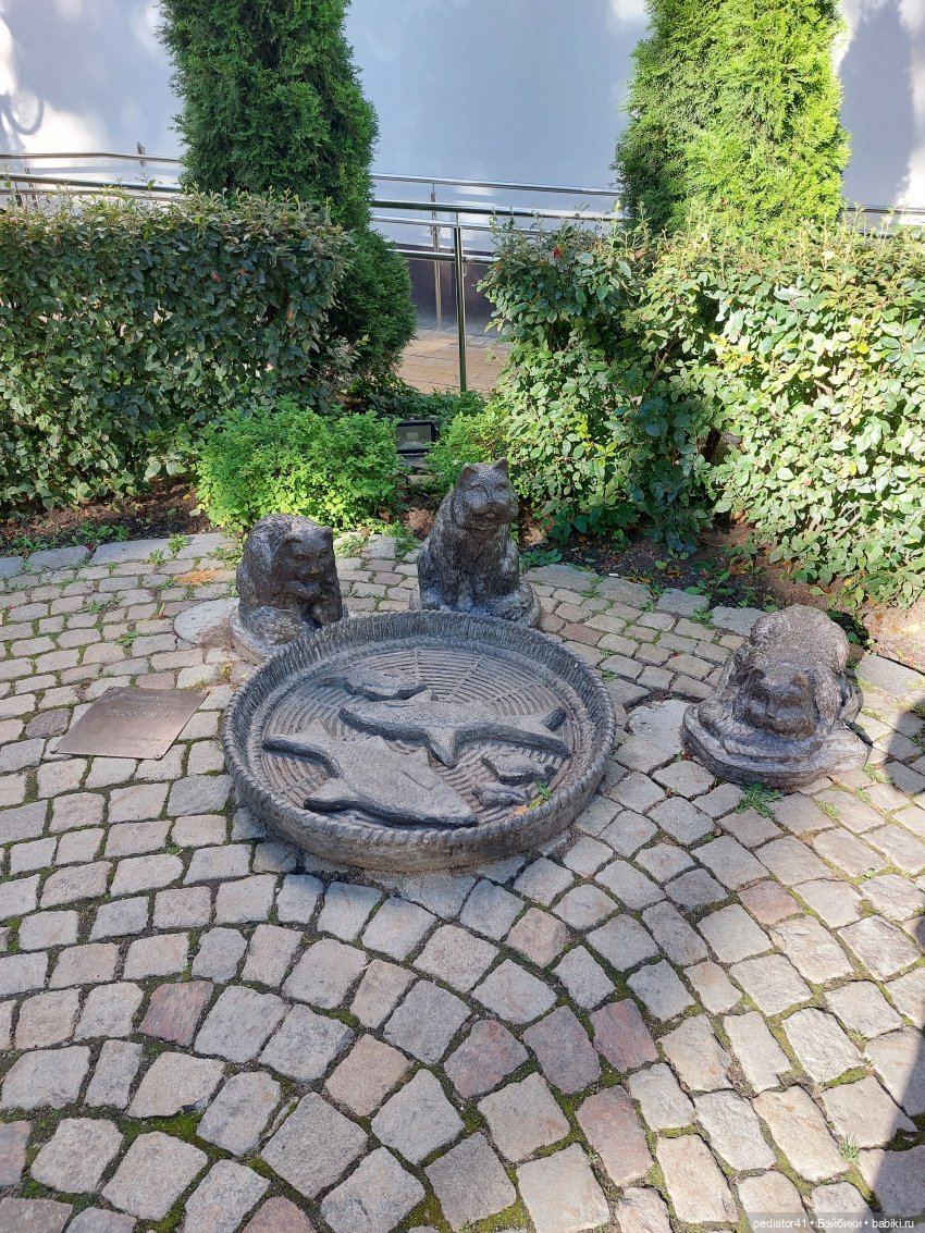 Большое Балтийское путешествие ксиомок. Часть 1 - Зеленоградск (Кранц)