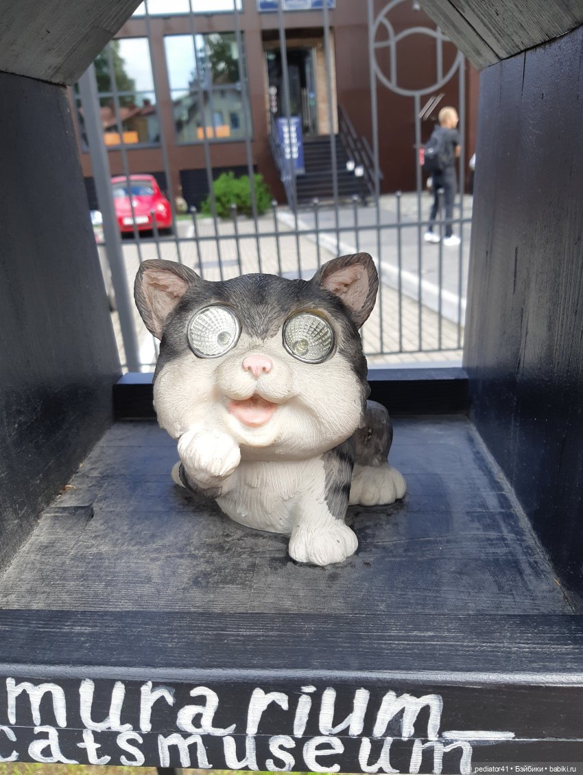 Большое Балтийское путешествие ксиомок. Часть 1 - Зеленоградск (Кранц) (фото 6)