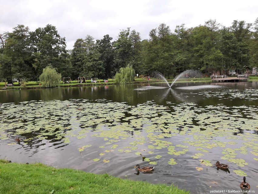 Большое Балтийское путешествие ксиомок. Часть 1 - Зеленоградск (Кранц) (фото 9)