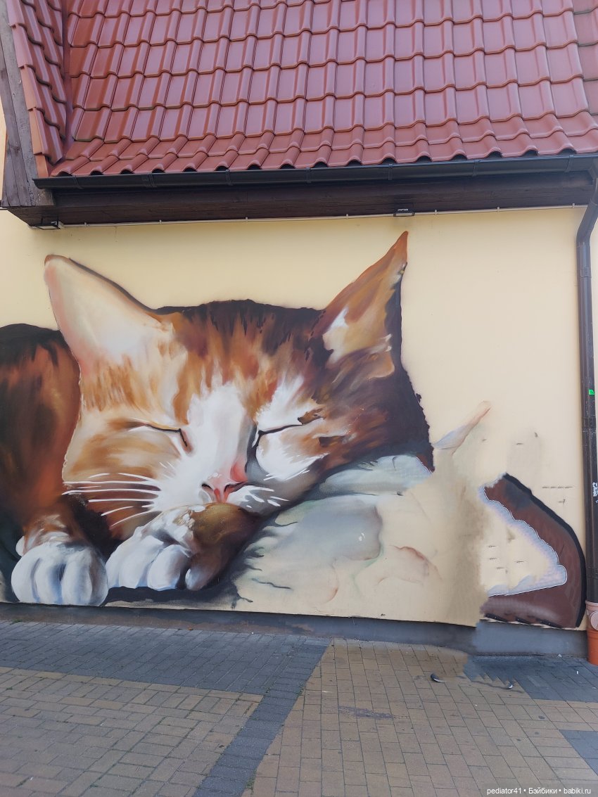 Большое Балтийское путешествие ксиомок. Часть 1 - Зеленоградск (Кранц)