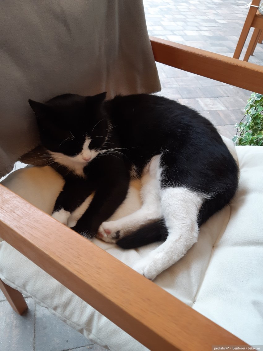 Большое Балтийское путешествие ксиомок. Часть 1 - Зеленоградск (Кранц) (фото 8)