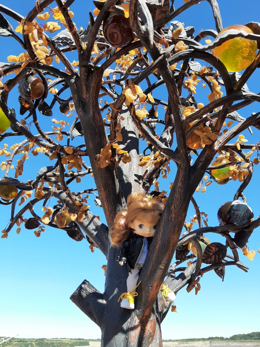 Большое Балтийское путешествие ксиомок. Часть 2 - Светлогорск (Раушен)-Янтарное