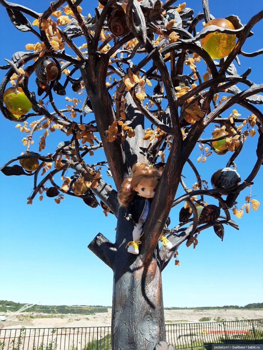 Большое Балтийское путешествие ксиомок. Часть 2 - Светлогорск (Раушен)-Янтарное