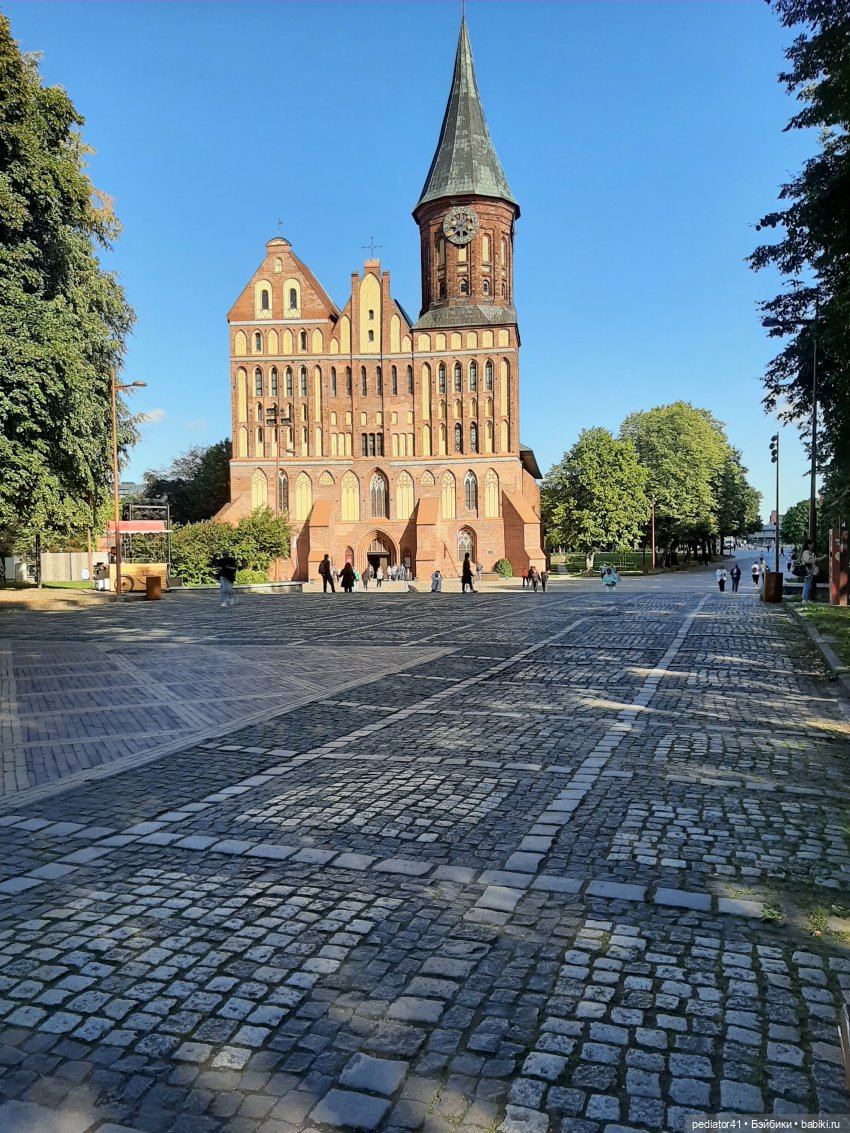Большое Балтийское путешествие ксиомок. Часть 3 Куршская коса - Калининград в "гости к хомлинам"
