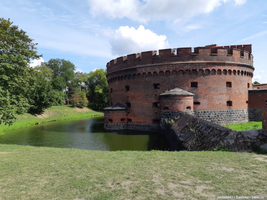 Большое Балтийское путешествие ксиомок. Часть 3 Куршская коса - Калининград в "гости к хомлинам"