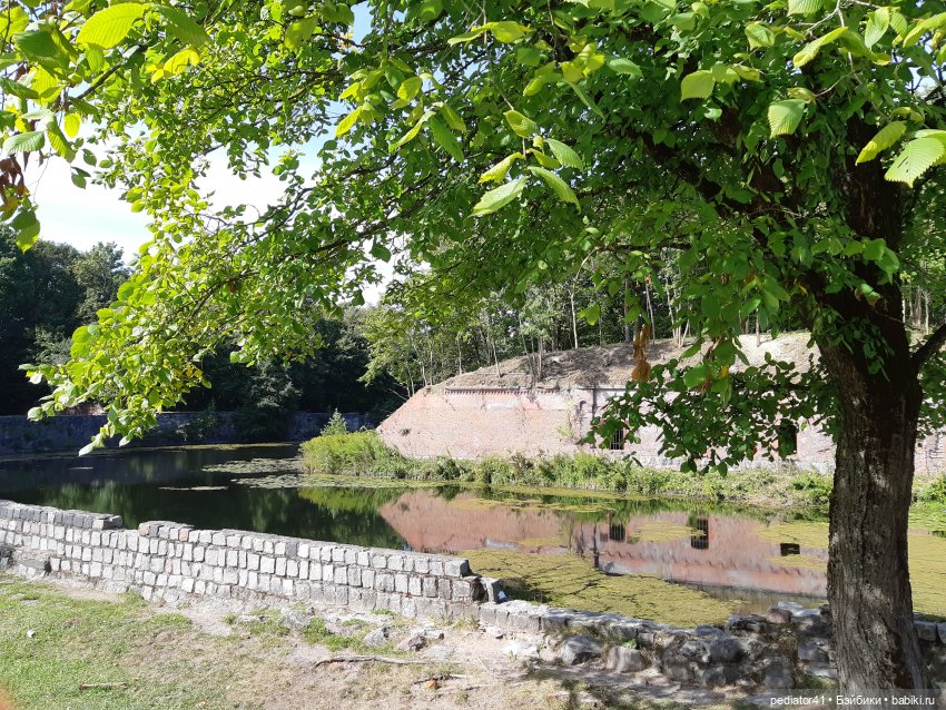 Большое Балтийское путешествие ксиомок. Часть 3 Куршская коса - Калининград в "гости к хомлинам"