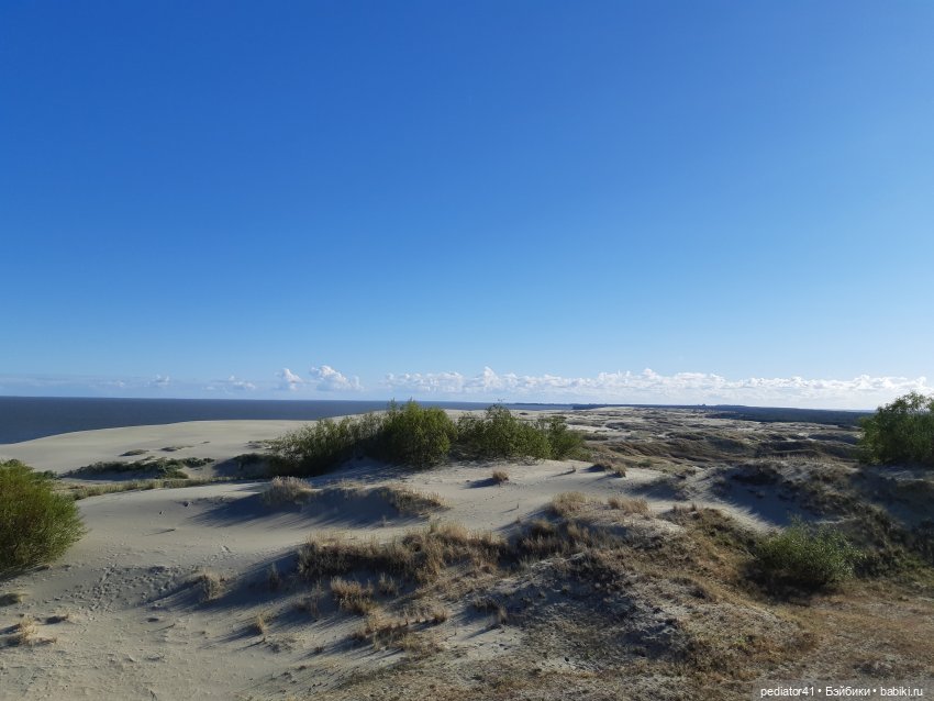 Большое Балтийское путешествие ксиомок. Часть 3 Куршская коса - Калининград в "гости к хомлинам" (фото 6)